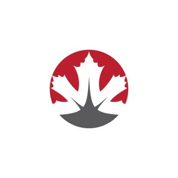 Maple leaf vector illustration 스톡 일러스트