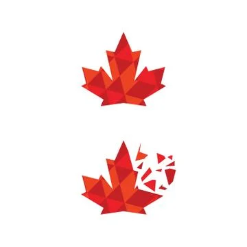 Maple leaf vector illustration Illustrazione stock