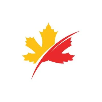 Maple leaf vector illustration 스톡 일러스트