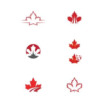 Maple leaf vector illustration Illustrazione stock