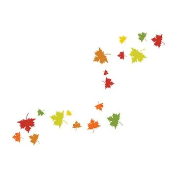 Maple leaf vector illustration Stock Illustration