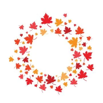 Maple leaf vector illustration Illustrazione stock