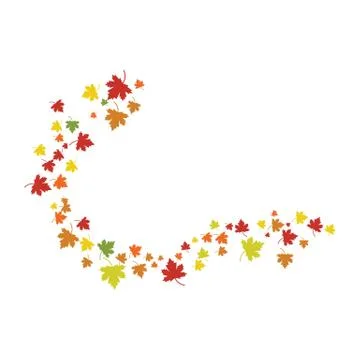 Maple leaf vector illustration 库存插图