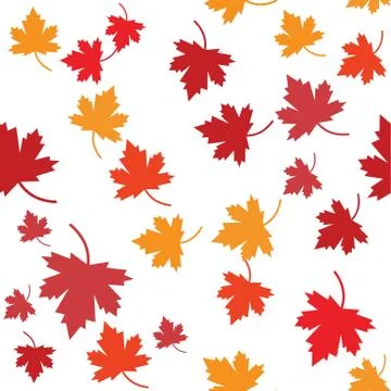 Maple leaf vector illustration 스톡 일러스트