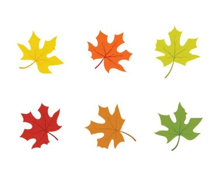 Maple leaf vector illustration イラスト素材