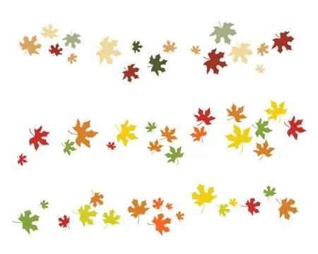 Maple leaf vector illustration Illustrazione stock