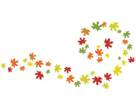 Maple leaf vector illustration イラスト素材