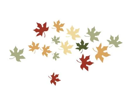 Maple leaf vector illustration 스톡 일러스트