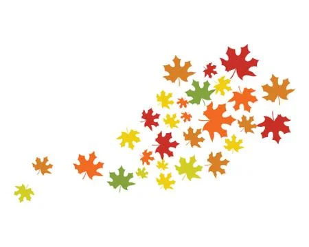 Maple leaf vector illustration 스톡 일러스트