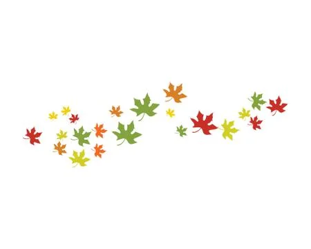 Maple leaf vector illustration イラスト素材