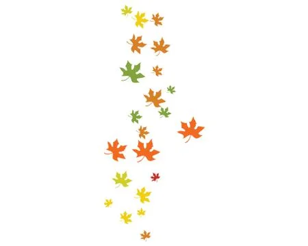 Maple leaf vector illustration イラスト素材
