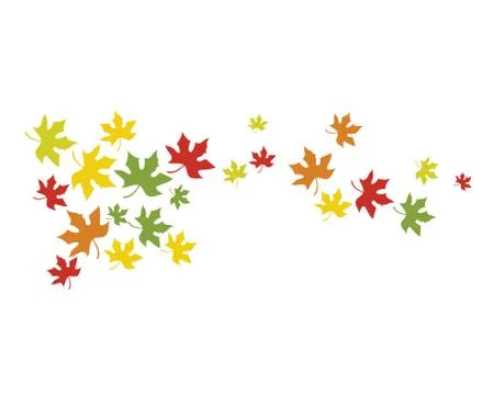 Maple leaf vector illustration 스톡 일러스트
