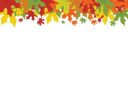 Maple leaf vector illustration イラスト素材