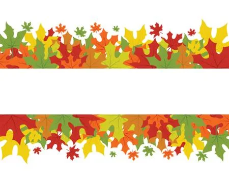 Maple leaf vector illustration 스톡 일러스트