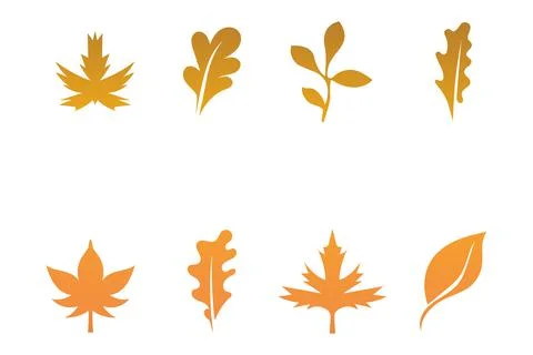 Maple leaf vector illustration 스톡 일러스트
