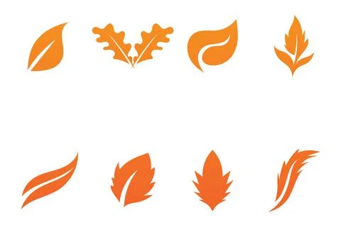 Maple leaf vector illustration イラスト素材