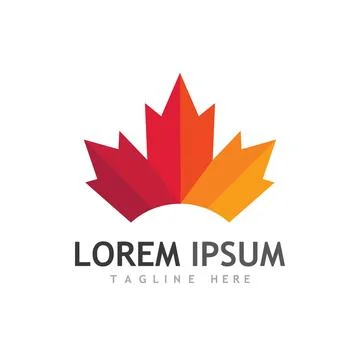 Maple leaf vector illustration 스톡 일러스트