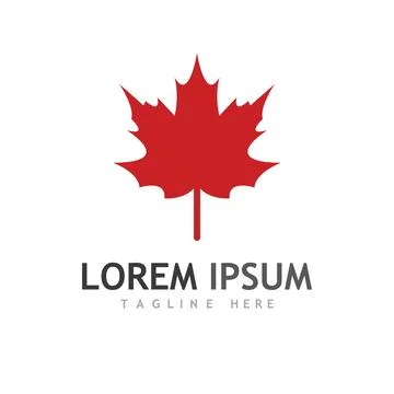 Maple leaf vector illustration イラスト素材