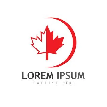 Maple leaf vector illustration Illustrazione stock