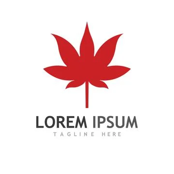 Maple leaf vector illustration 스톡 일러스트
