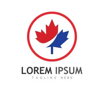 Maple leaf vector illustration Illustrazione stock