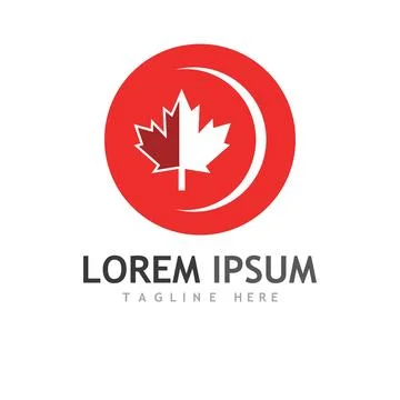 Maple leaf vector illustration 스톡 일러스트