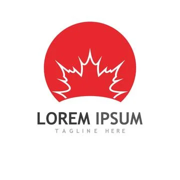 Maple leaf vector illustration 스톡 일러스트