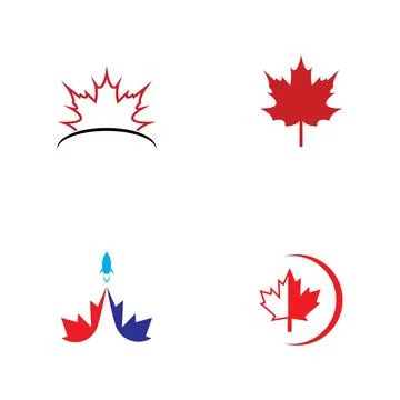 Maple leaf vector illustration 스톡 일러스트