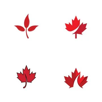Maple leaf vector illustration Stockillustratie
