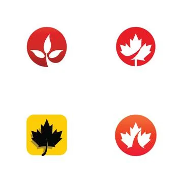 Maple leaf vector illustration イラスト素材
