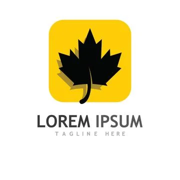 Maple leaf vector illustration 스톡 일러스트