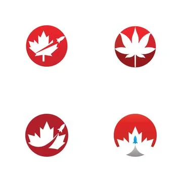 Maple leaf vector illustration イラスト素材