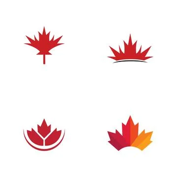 Maple leaf vector illustration イラスト素材