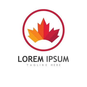 Maple leaf vector illustration 스톡 일러스트