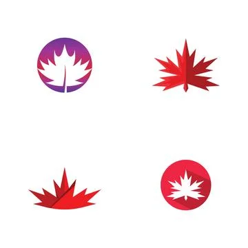 Maple leaf vector illustration イラスト素材