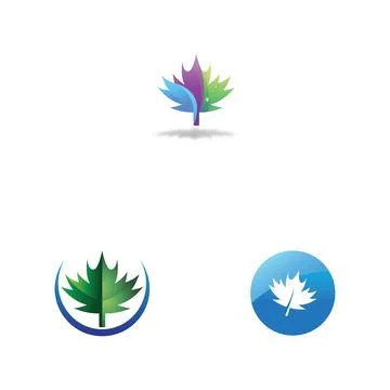 Maple leaf vector illustration 스톡 일러스트
