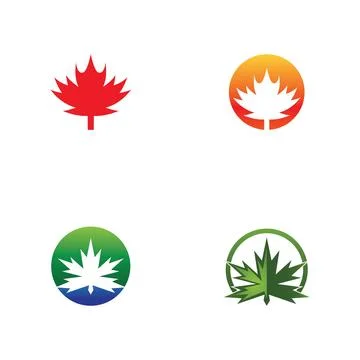 Maple leaf vector illustration Illustrazione stock