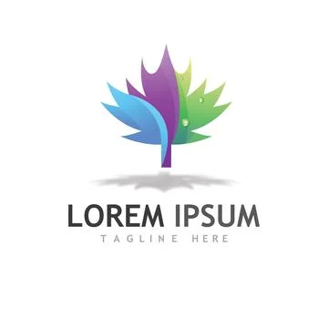 Maple leaf vector illustration 스톡 일러스트