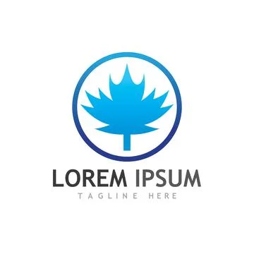Maple leaf vector illustration イラスト素材