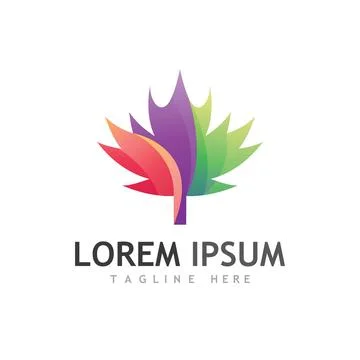 Maple leaf vector illustration イラスト素材