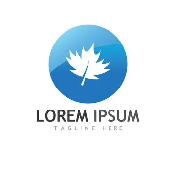 Maple leaf vector illustration 库存插图