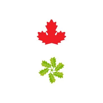 Maple leaf vector illustration 库存插图
