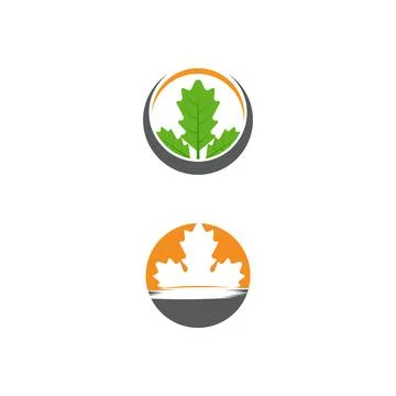 Maple leaf vector illustration Illustrazione stock