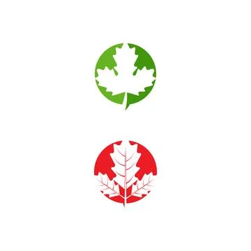 Maple leaf vector illustration 库存插图