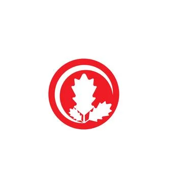 Maple leaf vector illustration 库存插图