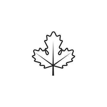 Maple leaf vector illustration 库存插图