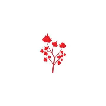 Maple leaf vector illustration Illustrazione stock