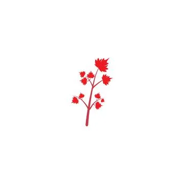 Maple leaf vector illustration Illustrazione stock