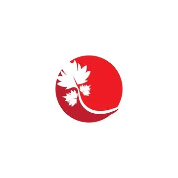 Maple leaf vector illustration 库存插图