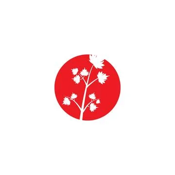Maple leaf vector illustration Illustrazione stock